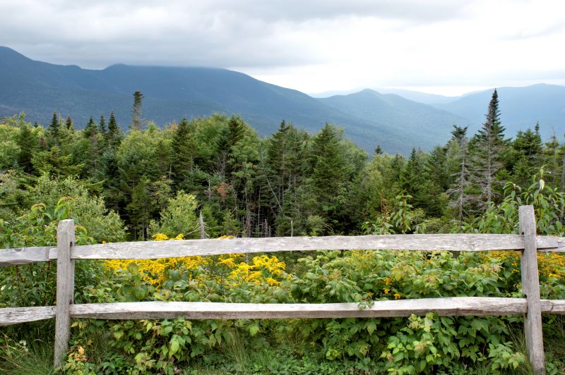 Pine Fence Installation in Roseville, CA